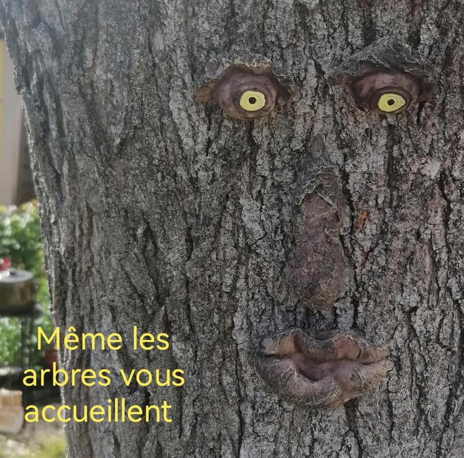 la fée viviane et michel l'enchanteur Robion en Luberon Esterno foto