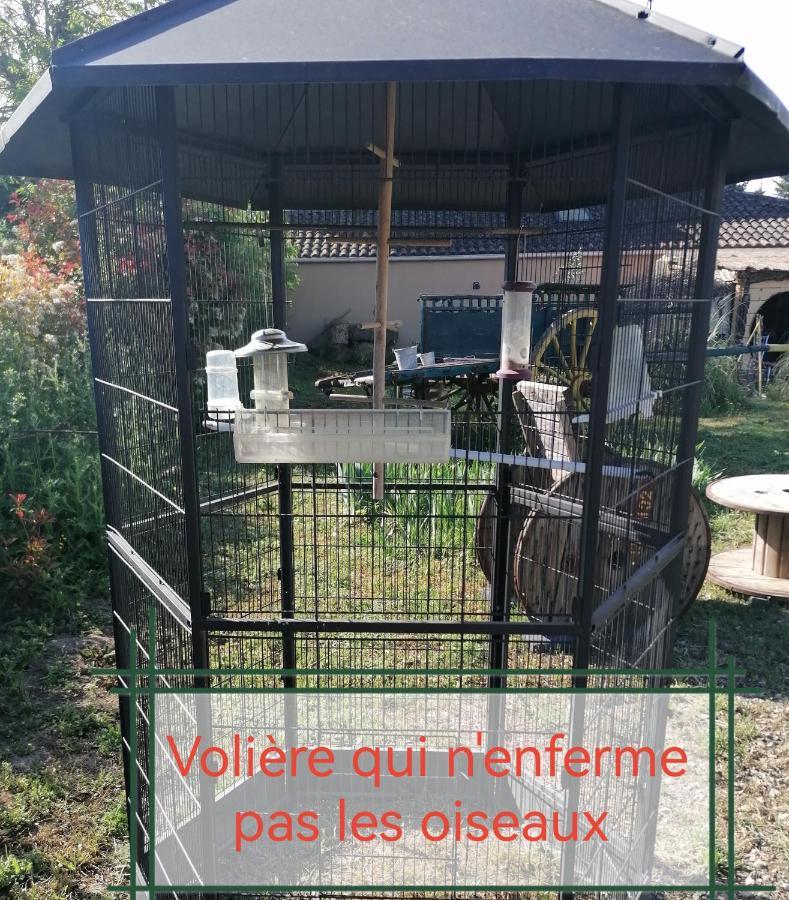 la fée viviane et michel l'enchanteur Robion en Luberon Esterno foto