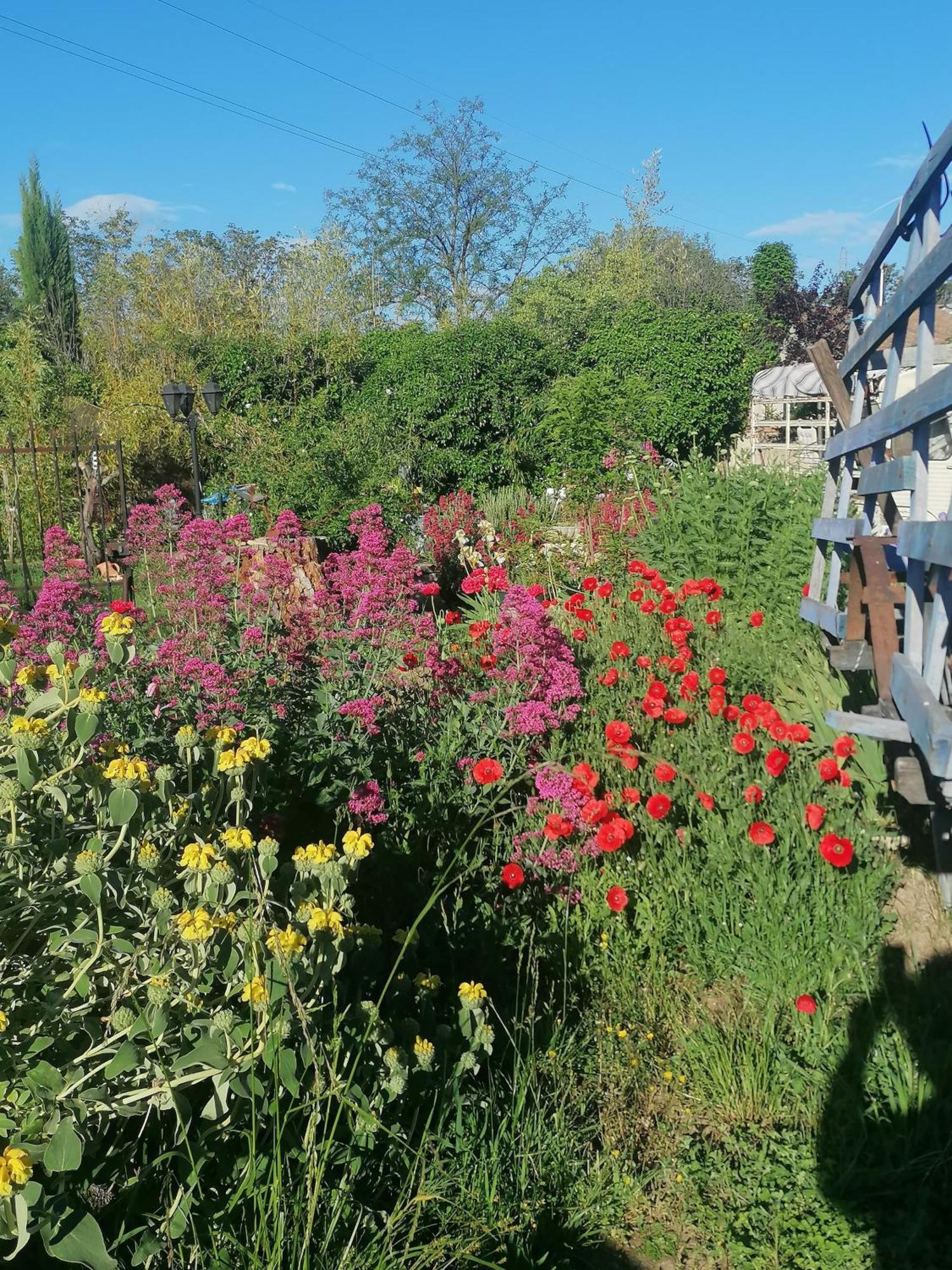 la fée viviane et michel l'enchanteur Robion en Luberon Esterno foto
