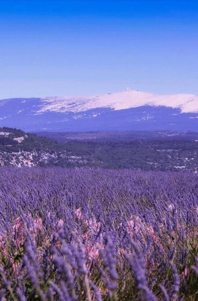 la fée viviane et michel l'enchanteur Robion en Luberon Esterno foto